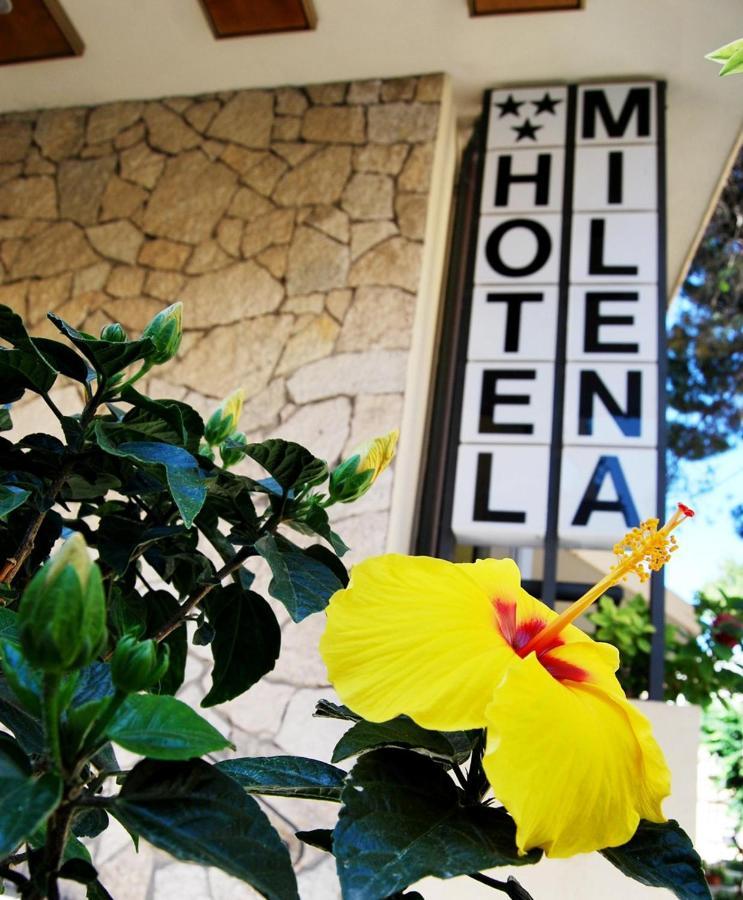 Hotel Milena Rimini Esterno foto